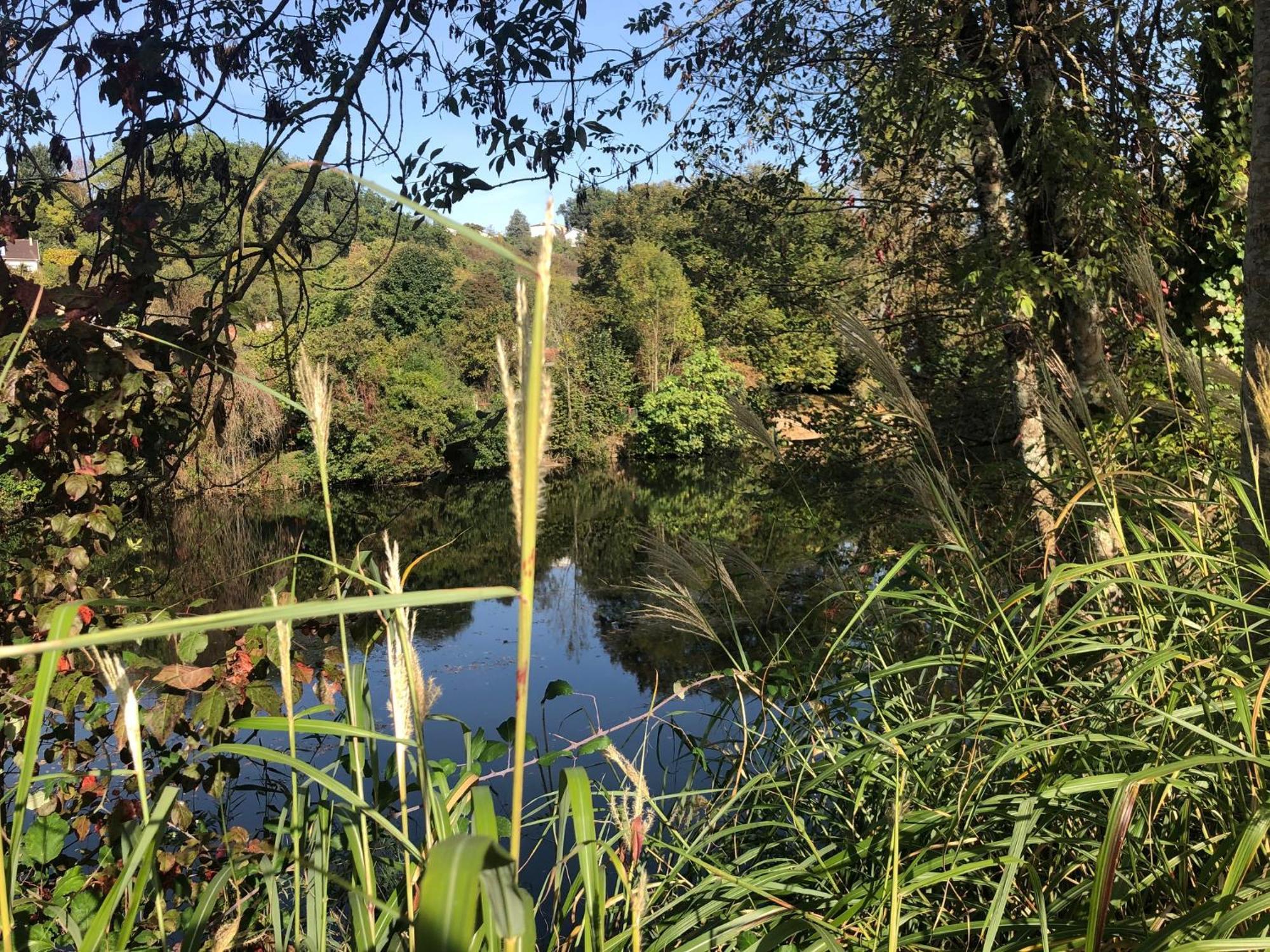 Demeure De Charme Vue Riviere Perigueux Piscine Parking Bed & Breakfast エクステリア 写真